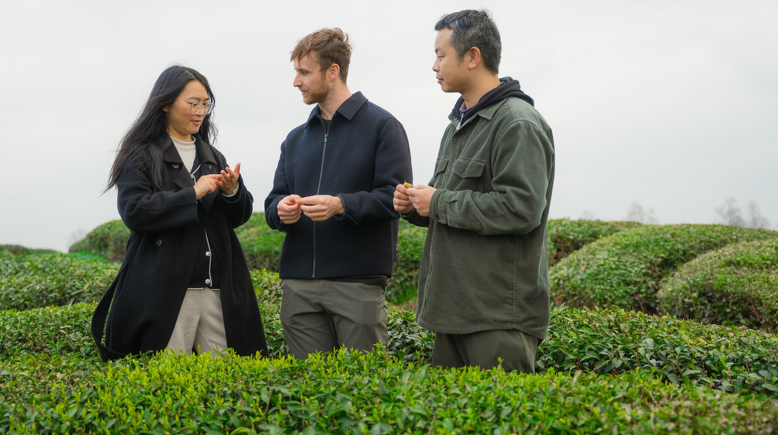 Inspecting tea leaves with our grower in Zhejiang Province, China