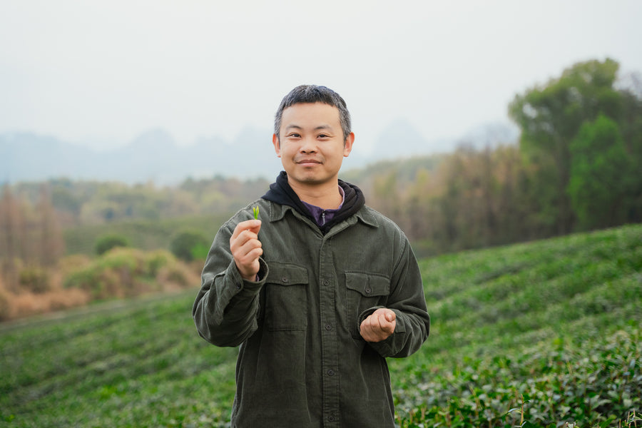 Omorie matcha factory facility