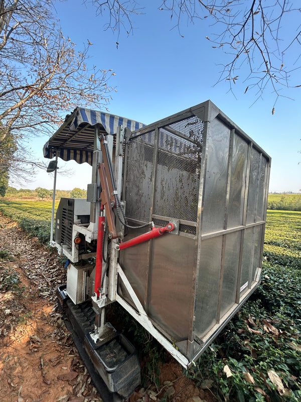 Harvesting machine at Omorie partner tea farm