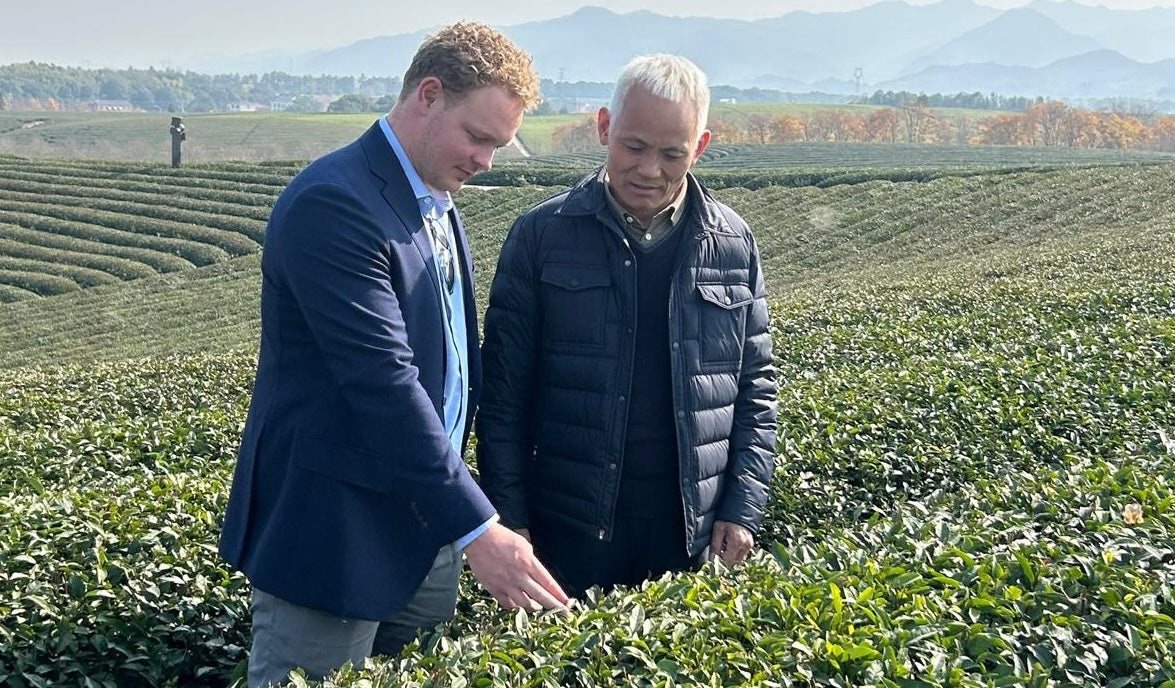 Inspecting tea leaves with our grower in Zhejiang Province, China